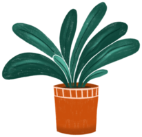 House plant in flowerpot png
