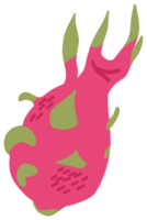 estilo doodle pitaya rosa png