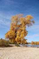 Beautiful autumn landscape with lake and multicoloral trees. Picturesque place with lake and tall trees photo