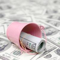 A bundle of US dollars in a metal pink bucket on a set of dollar bills photo