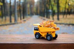 The concept of seasonal harvesting of autumn fallen leaves is depicted in the form of a toy yellow truck loaded with leaves against the background of the autumn park photo