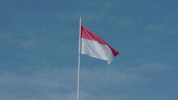le drapeau indonésien rouge et blanc flotte dans le ciel video