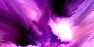 Abstract purple wave background. Dynamic shapes composition. photo