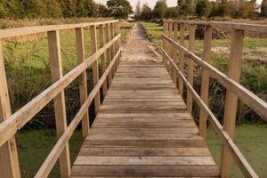 wooden bridge in the park photo