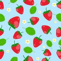 la fresa de patrones sin fisuras consiste en fresas pequeñas y grandes. hojas de fresa flores de fresa blancas sobre un fondo azul vector