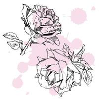 rosa dibujada a mano. ilustración vectorial rosa estilo tatuaje vintage. boceto de motivos florales para el diseño. ilustración de tinta aislada. vector