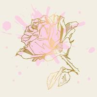 rosa dibujada a mano. ilustración vectorial rosa estilo tatuaje vintage. boceto de motivos florales para el diseño. ilustración de tinta aislada. vector