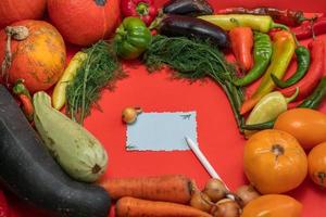 Vegetables are laid out around a sheet of paper and a pencil. Empty space for text. Vegetables, empty blank for recipe  on a red background. Selective focus photo