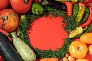 Vegetables are laid out around empty place. Empty space for text. Vegetables on a red background. photo