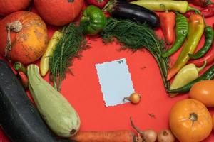 Vegetables are laid out around a sheet of paper and a pencil. Empty space for text. Vegetables, empty blank for recipe  on a red background. photo