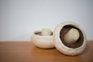 Selective focus of two Australian White flat mushroom. photo