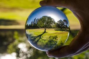 Tree with its shadow photography in clear crystal glass ball. photo