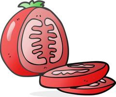 tomate en rodajas de dibujos animados vector