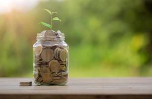 Money coin stack growing graph with glass jar saving concept. business finance and saving money investment, plant growing up on coin. Balance savings and investment. save retirement for interest idea photo