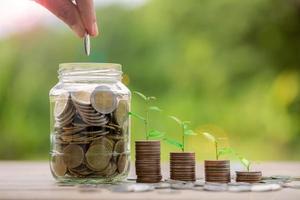 Hand putting money coin. Money coin stack growing graph with piggy bank saving concept. business finance and saving money investment, plant growing up on coin. Balance savings and investment. photo