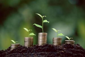 pila de monedas de dinero con plantas de plántulas que crecen en el fondo del entorno de la naturaleza verde. banco de interés, idea de crecimiento de inversión empresarial. crecer préstamo, ahorro ganar concepto económico, financiero y contable foto