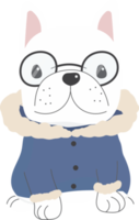 lindo cachorro de bulldog francés en moda de traje de suéter de invierno png