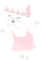 cute french bulldog ballerina dance in pink dress png
