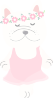 carino francese bulldog ballerina danza nel rosa vestito png