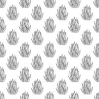 Line art succulents Seamless pattern of hand drawn doodle cacti. Hand drawn cute cactuses for cards,posters, fabric vector