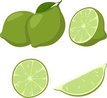 Fresh lime fruits, lime, whole fruit, half and slices, vector illustration, collection of illustrations isolated on white background