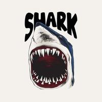 wild shark illustration with sharp teeth vector