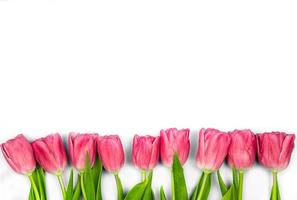 flores de tulipanes rosas sobre un fondo blanco. concepto: felicitaciones por el día internacional de la mujer, cumpleaños, feliz día de la madre, sorpresa agradable, primavera, flores de primavera foto