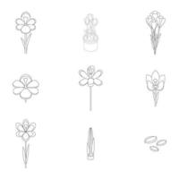 Crocus icons set vector outline