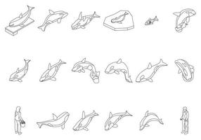 Killer whale icons set vector outline