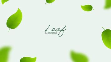 Realistic flying green leaves on long white banner. Flying green leaf background. vector
