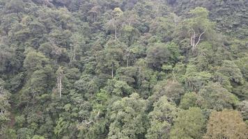 vista aérea de la montaña merapi en indonesia con bosque tropical a su alrededor video