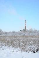 The industrial plant is located behind the swampy terrain, covered with snow. Large field of yellow bulrushes photo