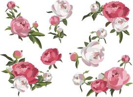 Set of peony floral compositions, white and pink flowers with greenery. vector