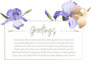 Greeting card design template with blue iris flowers, copy space included vector