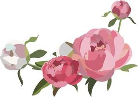 Peony floral composition, five white and pink lush flowers with greenery. vector