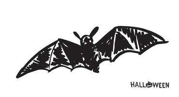 Bat sketch. Hand drawn illustration. vector