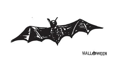 Bat sketch. Hand drawn illustration. vector