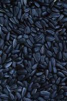 A pattern of many unprocessed fried sunflower seeds in a black shell. photo