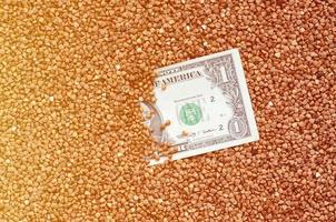 The background texture of a large pile of buckwheat, in the middle of which you see a bill of one US dollar. The concept of higher prices for cereals photo