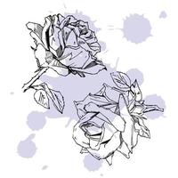 rosa dibujada a mano. ilustración vectorial rosa estilo tatuaje vintage. boceto de motivos florales para el diseño. ilustración de tinta aislada. vector