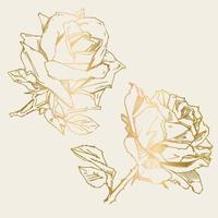 PrintHand drawn rose. Vector illustration. Vintage tattoo style rose. Flower motif sketch for design. Ink illustration isolated.