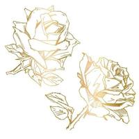 PrintHand drawn rose. Vector illustration. Vintage tattoo style rose. Flower motif sketch for design. Ink illustration isolated.