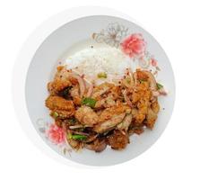 vista superior. ensalada de pollo crujiente. delicioso. sabor agrio y picante. comida tailandesa foto