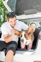 st. bernard dog travelling in car, enjoying road trip photo