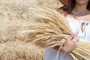 Young woman sitting on haystack in harvested field holding wheat bouquet photo