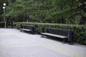 Wooden bench in a summer park in the city. Bench close-up in the afternoon. photo