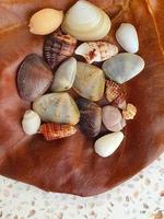 Top view close up of a brown dry leave with assortment of small seashells on white polished stone, macro photo