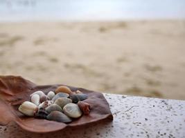 A brown dry leave with assortment of small seashells on white polished stone, blurry sand beach background photo