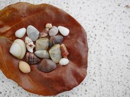 A brown dry leave with assortment of small seashells on white polished stone photo