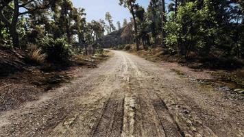 Representación 3d de una carretera en medio de la naturaleza del sistema de transporte rural foto